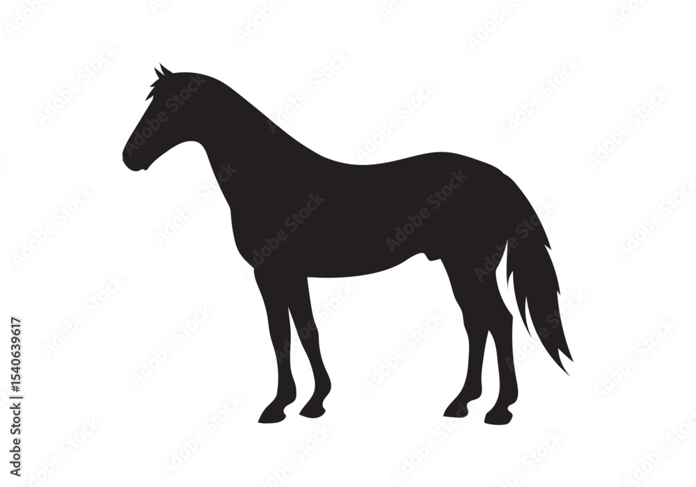 Obraz premium horse vector illustration