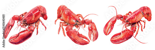 Set of hand drawn watercolor lobsters, lobsters, crabs png. Watercolor seafood. Sea restaurant concept. Sea food elements for menu, posters, restaurants etc. Vector illustration.