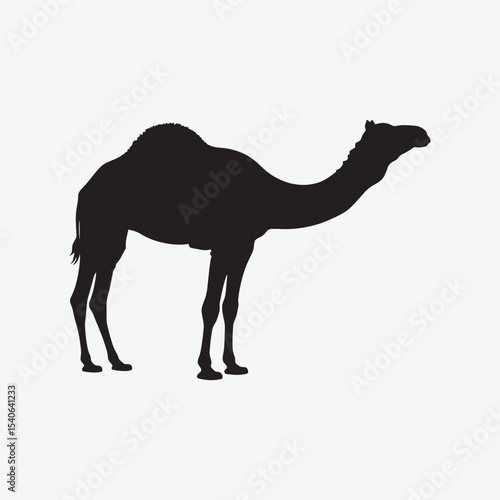 Camel silhouette illustration isolated on white background
