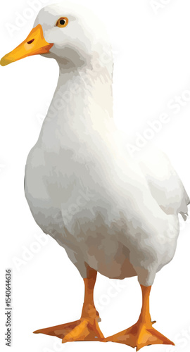 pekin duck