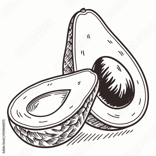 Detailed ink drawing of a halved avocado with pit