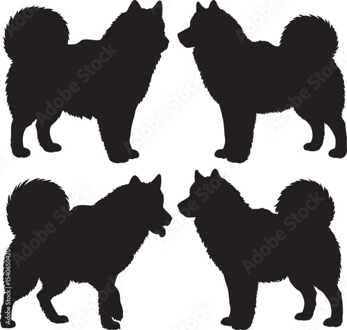 Alaskan Malamute dog silhouette vector illustration