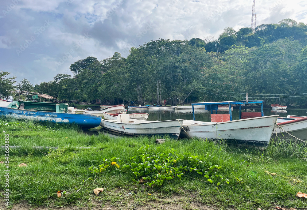 Naklejka premium Tranquil view of boats anchored in a green setting
