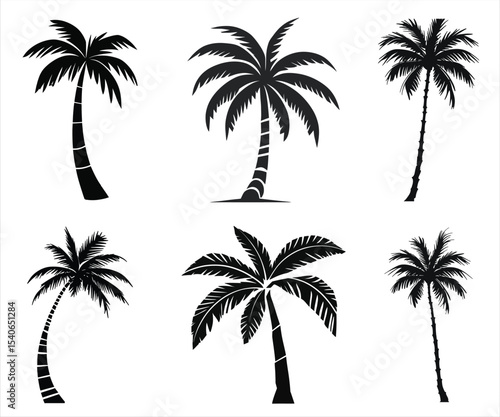 Six palm tree silhouettes isolated on white background