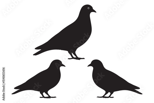 silhouettes of pigeons with different postures, perfect for design projects
