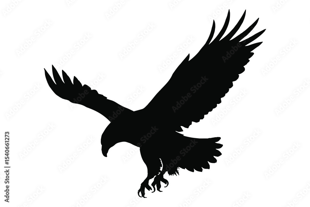 Obraz premium silhouette of a soaring eagle with talons extended