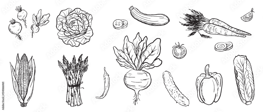 Fototapeta premium Vegetable harvest with carrot, asparagus, beet, pepper, salad, corn, radish, zucchini in black brush stroke texture isolated on white. Hand drawn vector sketch illustration in vintage charcoal ink