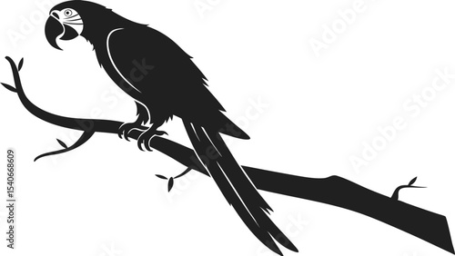  Elegant Parrot Silhouette Perched on Branch Vector