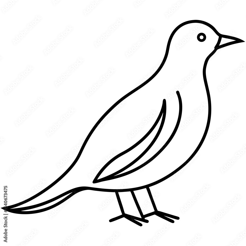 Fototapeta premium vector illustration of a bird