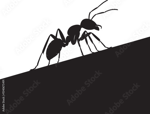 Wallpaper Mural black ant isolated on white Torontodigital.ca