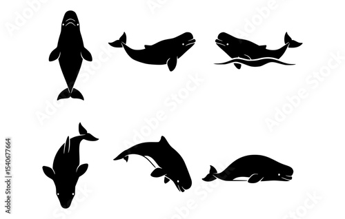 Collection of Beluga Whale Silhouettes in Various Poses