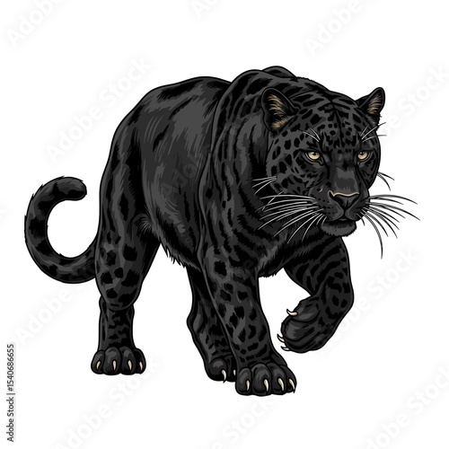 Majestic black panther, powerfully walking, detailed illustration.