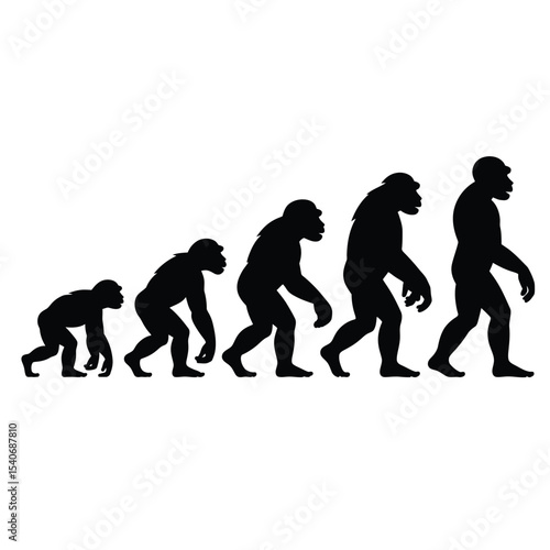 a black and white abstract illustration depicting human evolution from ape to modern human