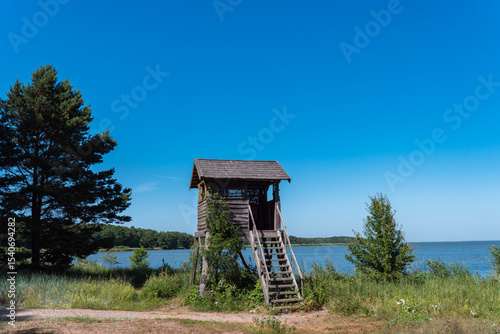view to a nature observation tower near Curonian Lagoon