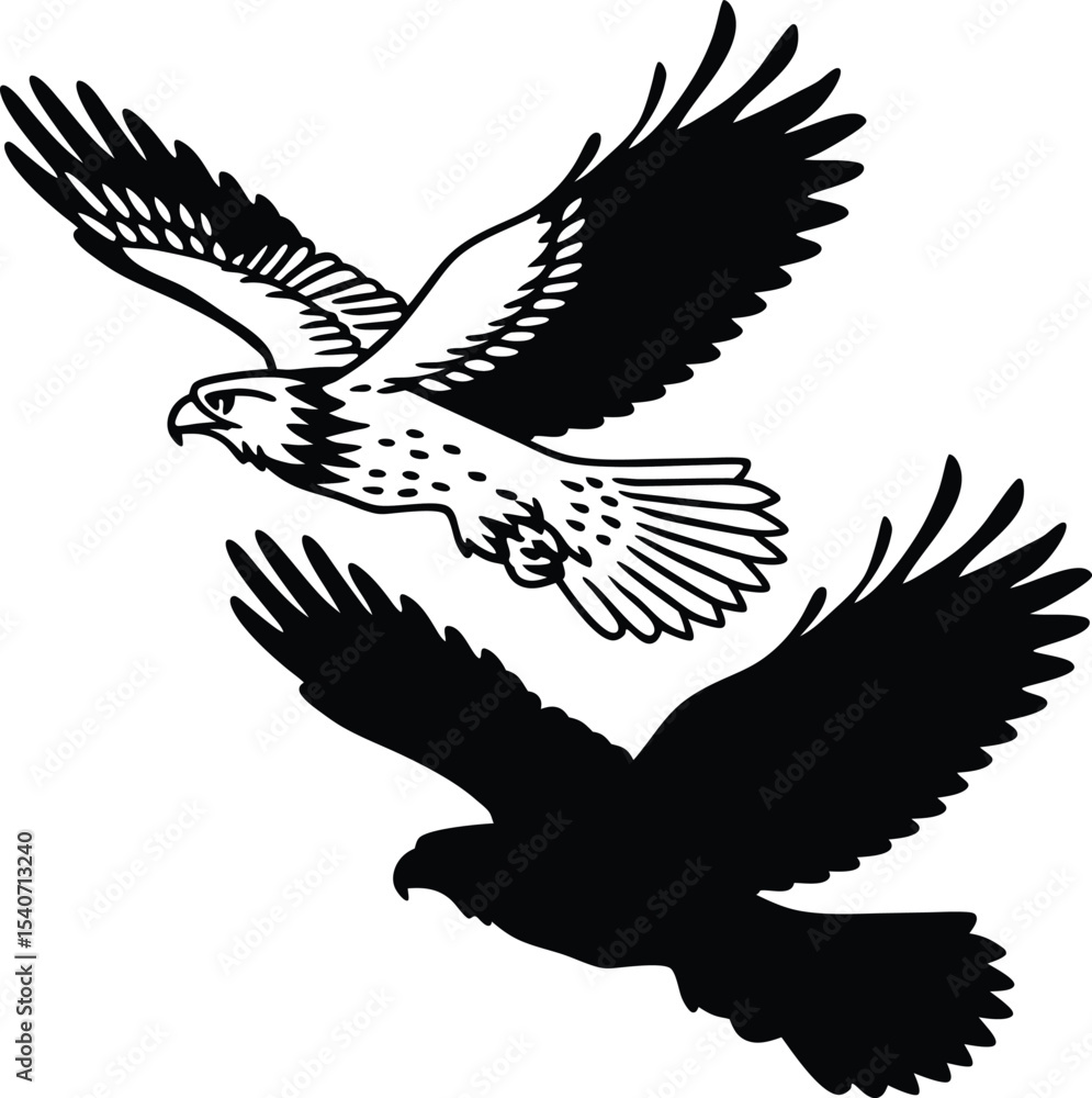 Obraz premium Falcon with Open Wings Vector Illustration 