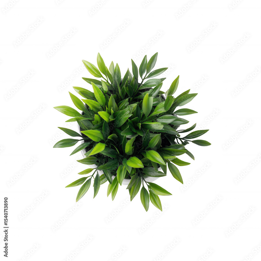 A vibrant collection of green leaves in a round arrangement, showcasing the natural beauty of indoor plants, perfect for home decor inspiration. A vibrant collection of green leaves in a round arrangement, showcasing the natural beauty of indoor plants, perfect for home decor inspiration.