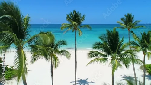 Exotic Paradise Of Tropical Beach With Lush Palm Trees And Turquoise Water