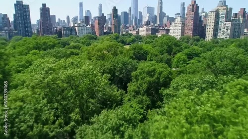 Cityscape Over Lush Trees In Modern Metropolitan Scenery