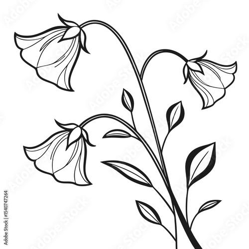 Black outline bellflower stems with leaves create a simple botanical line drawing against a white background