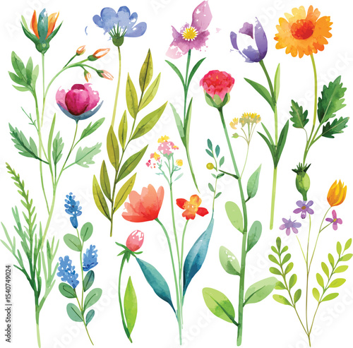 Let me know if you want variations or shorter options!