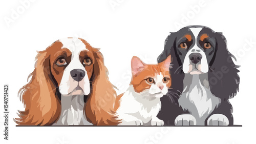 Portrait of a dog Russian Spaniel and cat Scottish Straight isolated on white background
