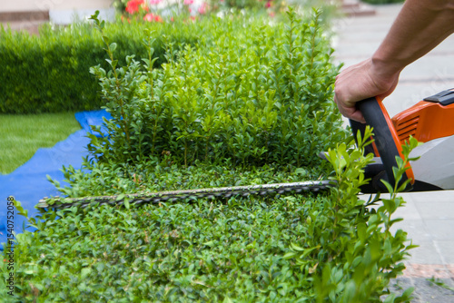 Man trimming bushes with hedge trimmer. Gardening concept. Selective focus.