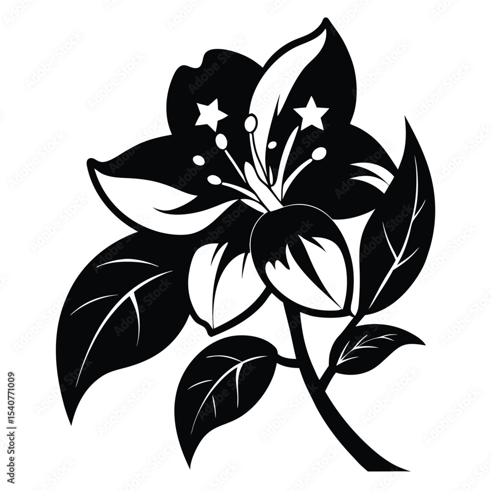 Obraz premium Elegant Black and White Floral Design with Stars in Bloom Petals Image