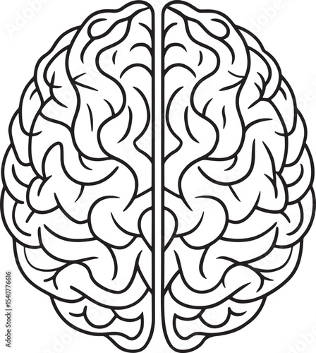 Human brain outline drawing neurology medical science illustration