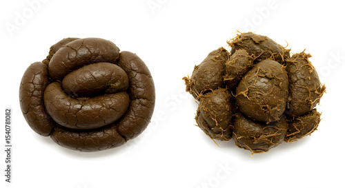 Brown Horse Poop Piles on White Background 