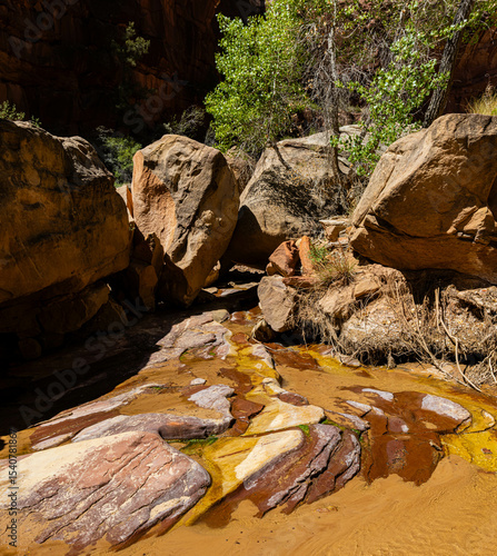 Wallpaper Mural Cottonwood Creek Running Through Lower Hackberry Canyon, Grand Staircase-Escalante National Monument, Utah, USA Torontodigital.ca