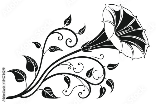 Elegant black and white datura flower blooms with delicate leaves on curving vines
