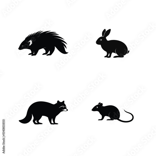 Porcupine bristling rabbit hopping raccoon exploring and rat nibbling silhouette Vector illustration