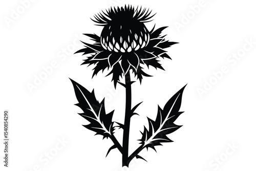 Wallpaper Mural Stylized Black Thistle Flower Silhouette with Prickly Leaves and Stem Vector Graphic Torontodigital.ca