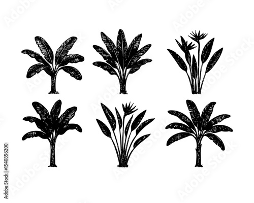 banana palm tree silhouette vector tropical banana leaf tree clipart black and white palm illustration isolated botanical graphic plant jungle transparent vector