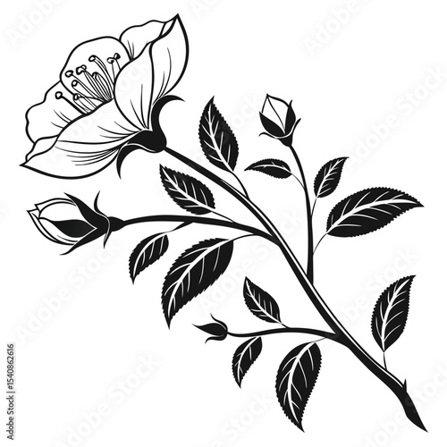 Elegant floral silhouette with leaves and flower buds shows natural plant beauty nicely
