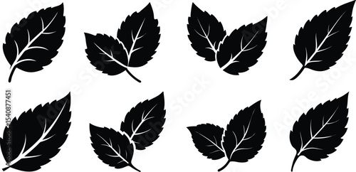 Mint Leaf Silhouette Clipart Collection