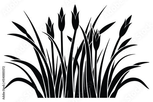 Black Silhouette of Cattails and Grasses, Vector Illustration for Nature Inspired Designs