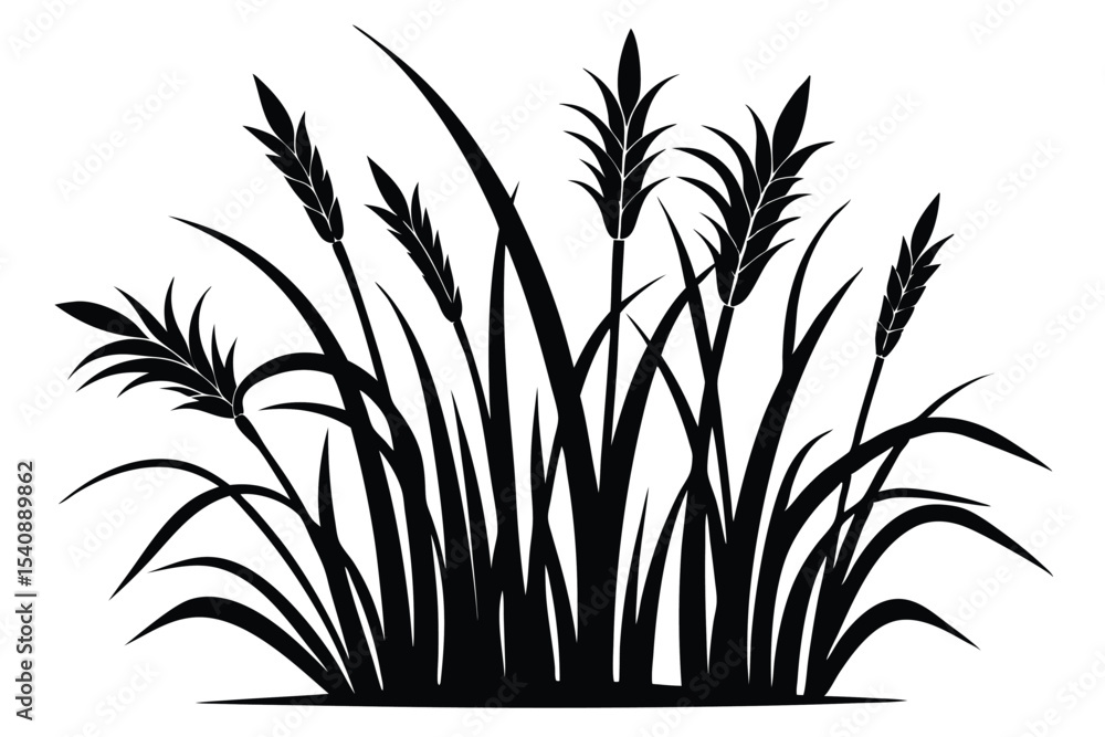 Obraz premium Black Silhouette Illustration of Grass and Wheat Stalks, Isolated Botanical Design Element