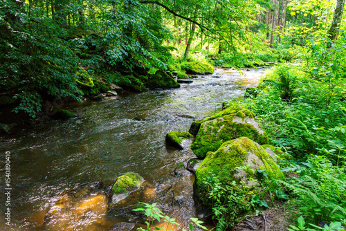 Hiking along the Mitternacher Ohe Stream in the bavarian Forests in Germany