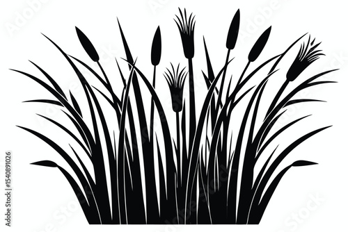 Cattails Silhouette with Reeds and Grasses Black and White Swamp Vegetation Design