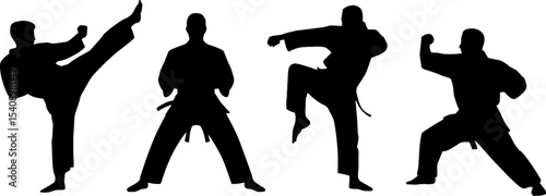 Martial Arts Silhouettes Karate Kick Punch Stance Pose