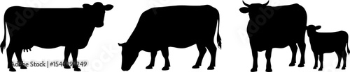 Black Cow Silhouettes Standing Grazing Calf Agricultural Livestock