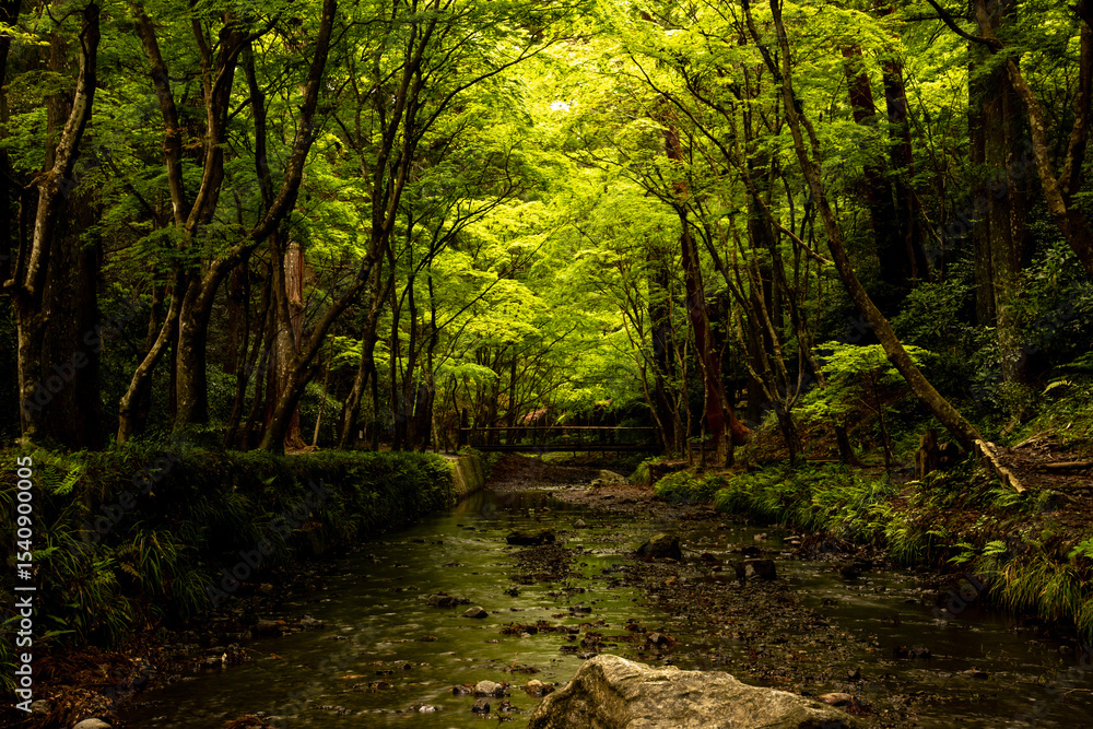 Obraz premium 遠州一之宮