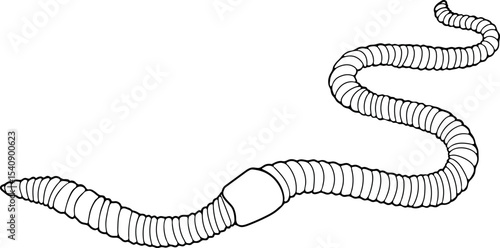 Coloring page with earthworm isolated on white background