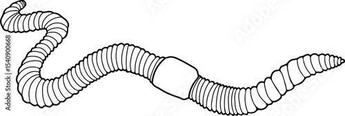 Coloring page with earthworm isolated on white background