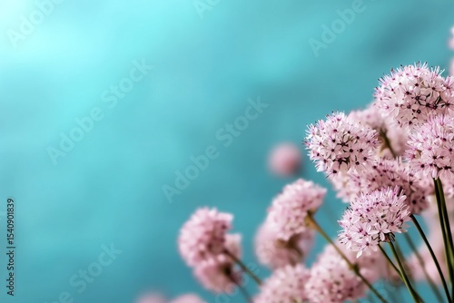 Beautiful Clusters of Pink Flowers Against a Soft Blue Background in a Peacef...