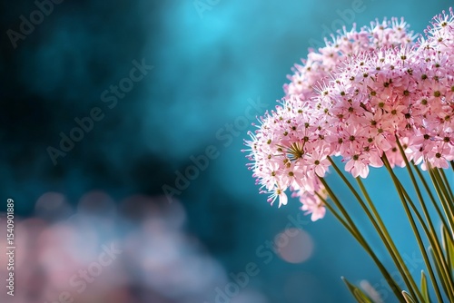 Beautiful Clusters of Pink Flowers Against a Soft Blue Background in a Peacef...