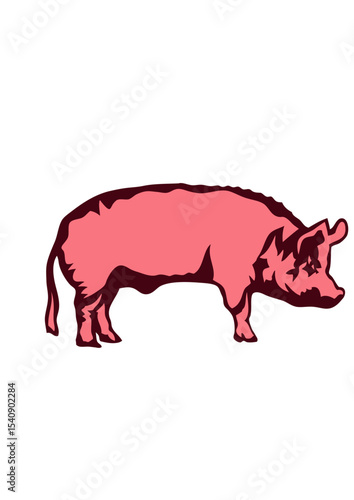 cochon face cartoon gros