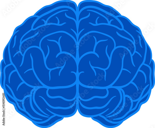 Blue flat vector illustration of human brain. Modern medical anatomy icon. Use for healthcare, education, apps, infographics, and web design