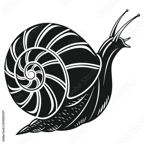 Stylized snail crawls with a swirling shell in a monochrome simple vector